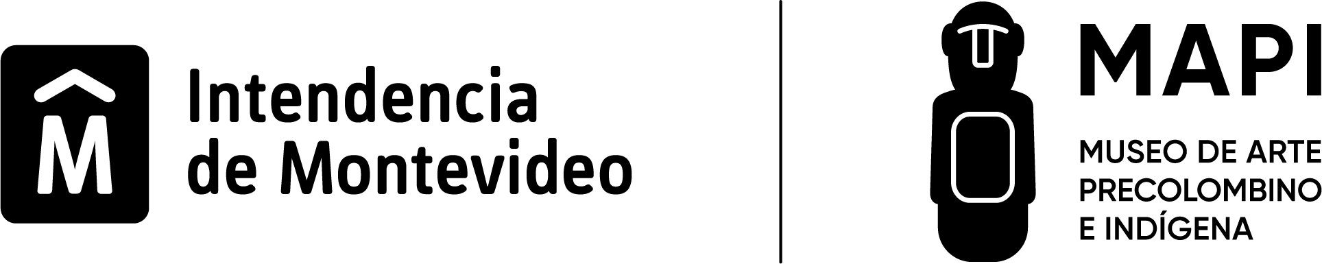 MAPI - Museo de Arte Precolombino e Indígena