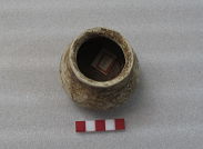 Olla (s/d)