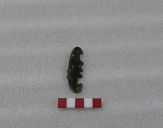 Cuchillo (s/d)