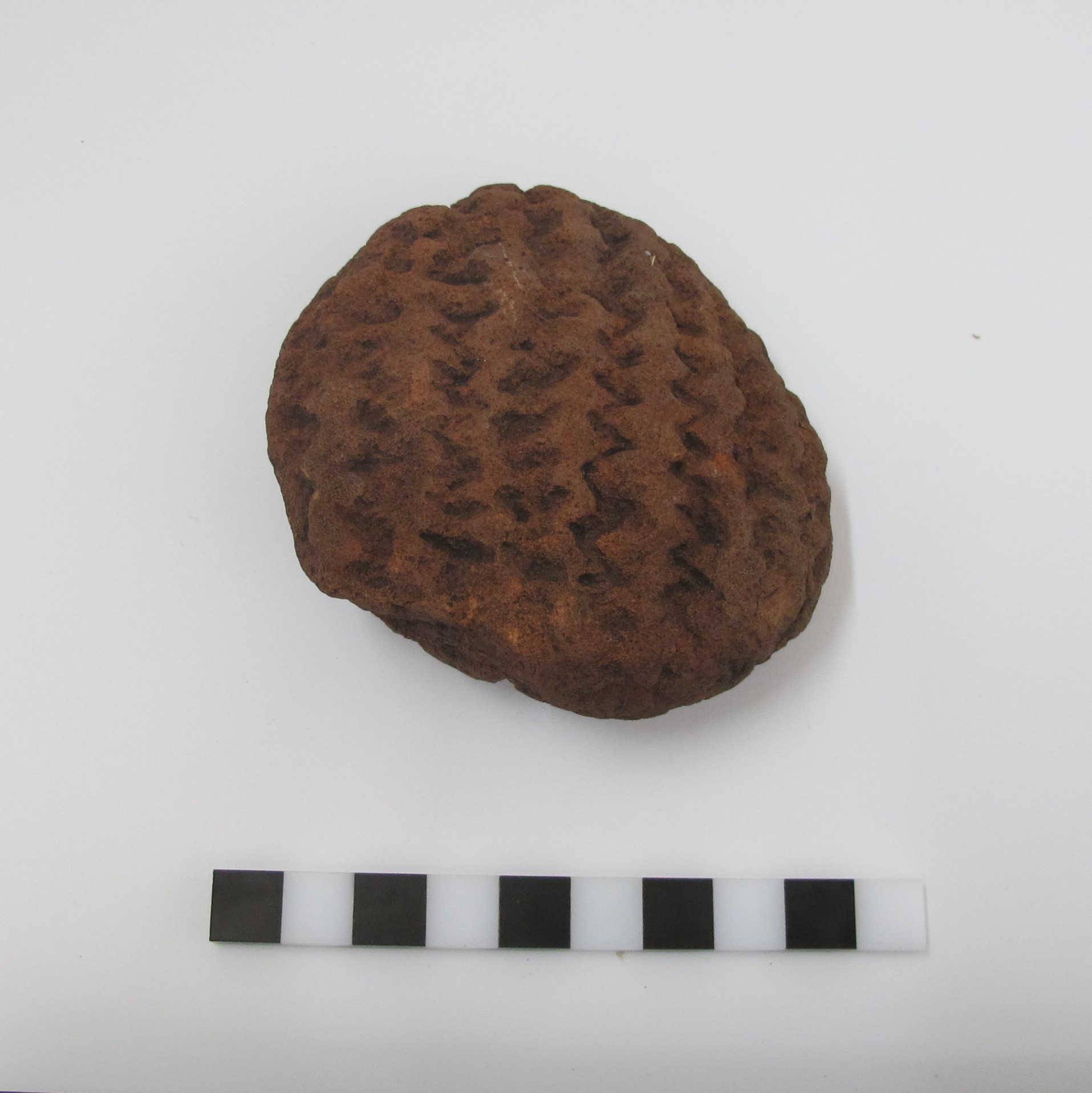 Placa grabada (4660 ± 270 A.P)