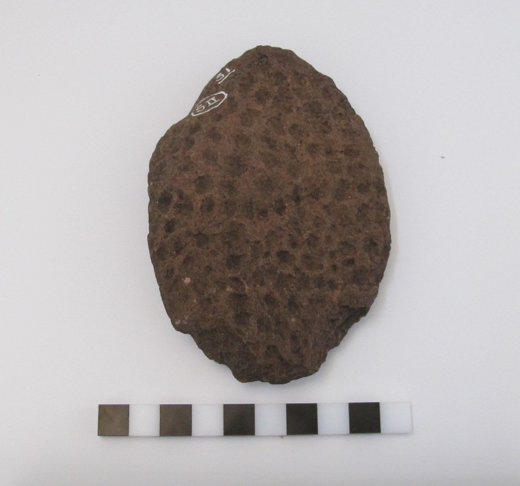 Placa grabada (4660 ± 270 A.P)