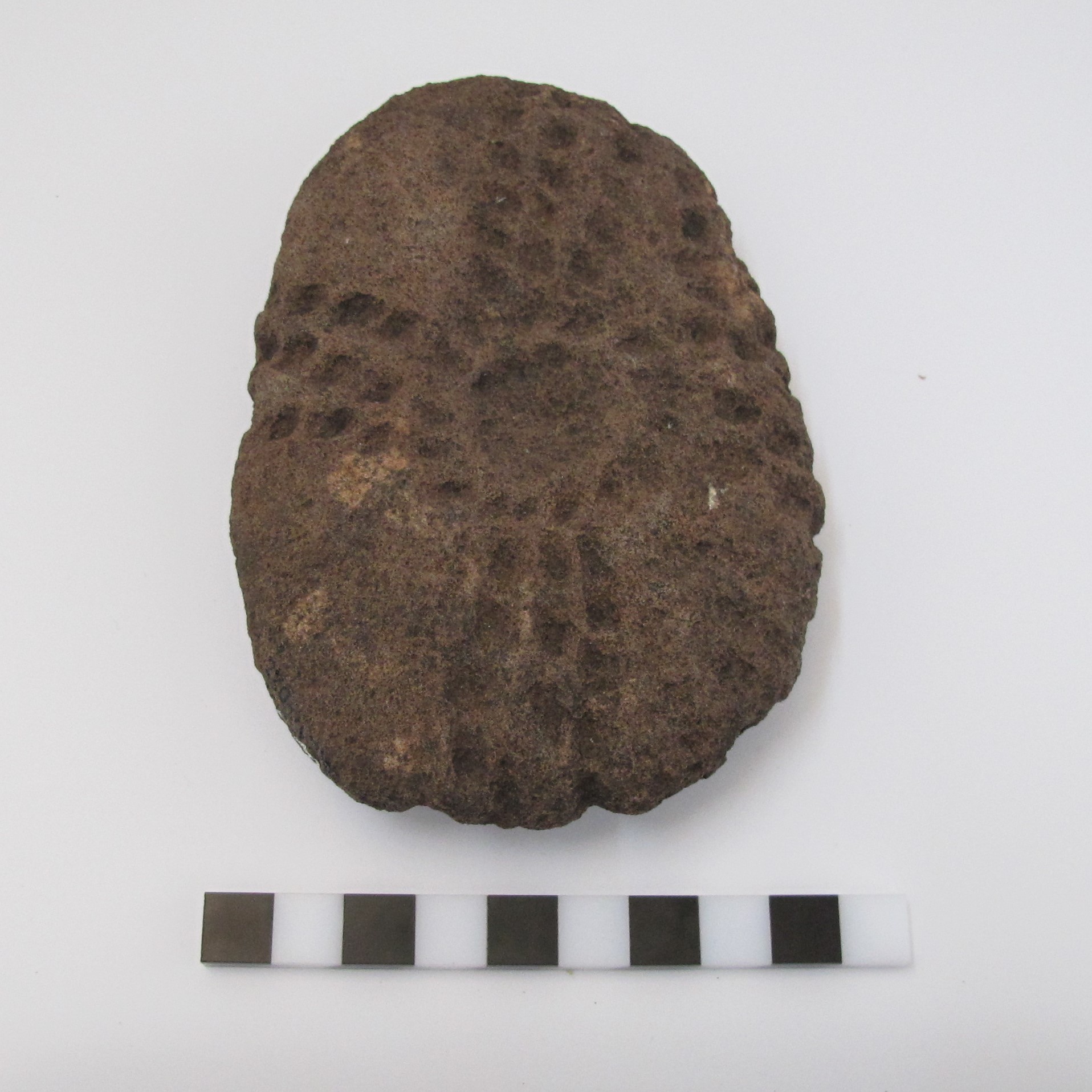 Placa grabada (4660 ± 270 A.P)