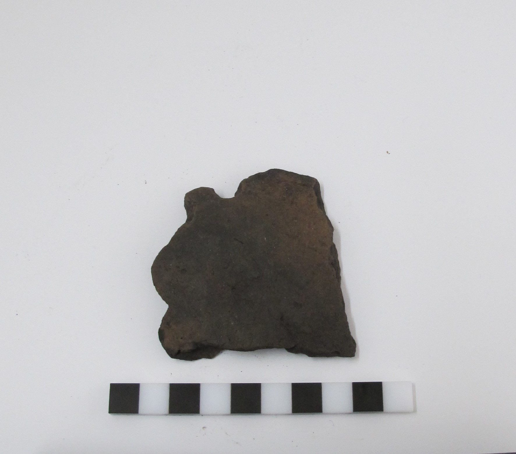 Fragmento de cerámica
