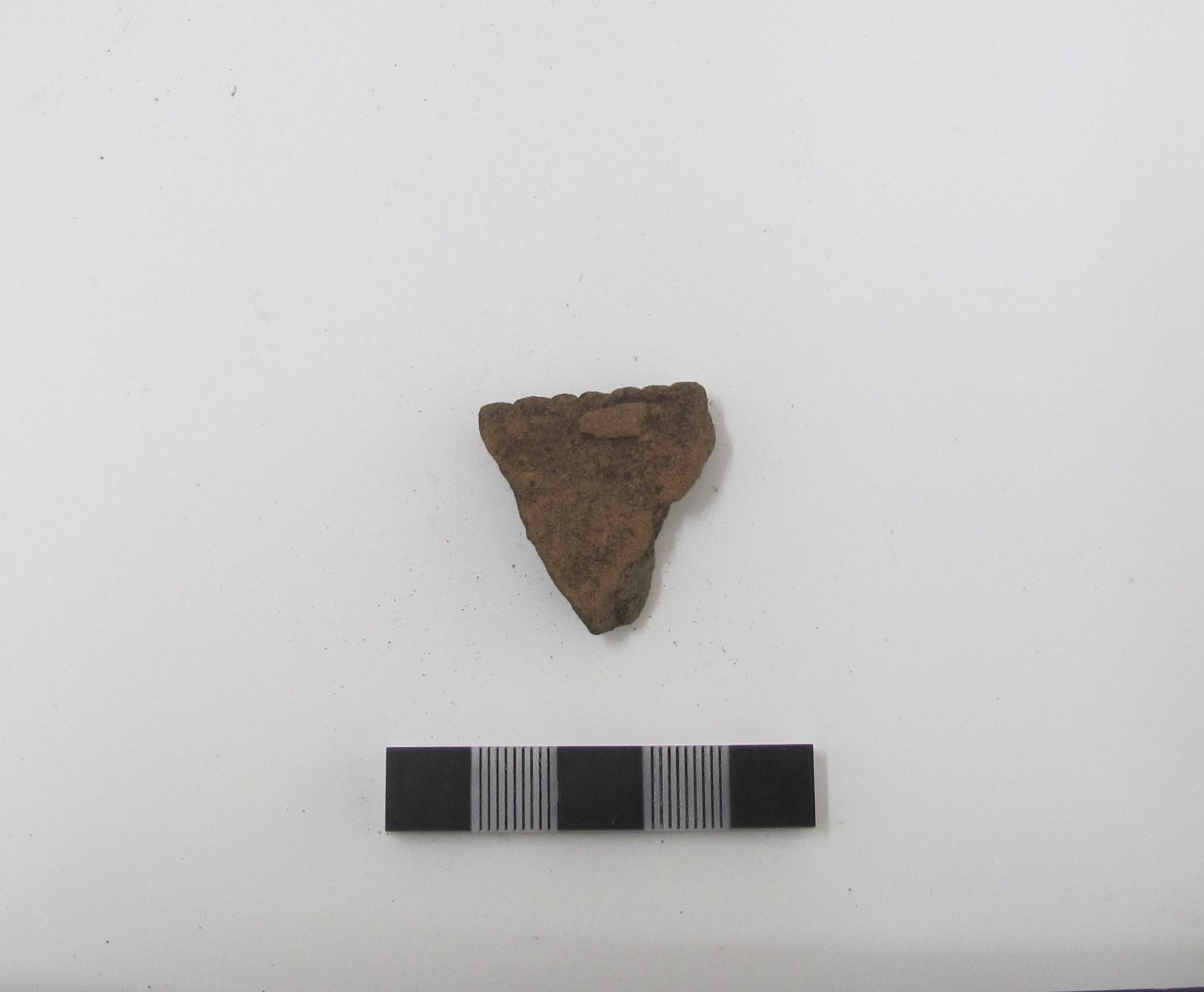 Fragmento de cerámica