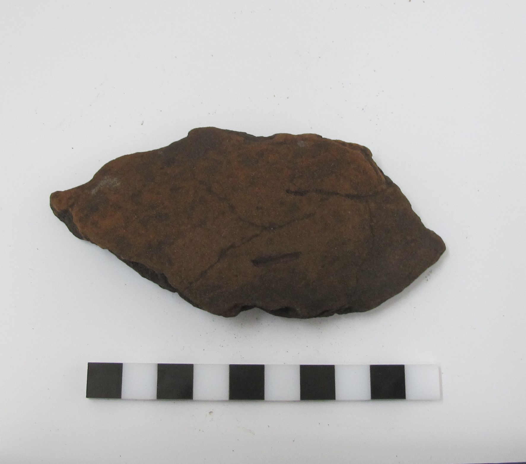 Fragmento de cerámica