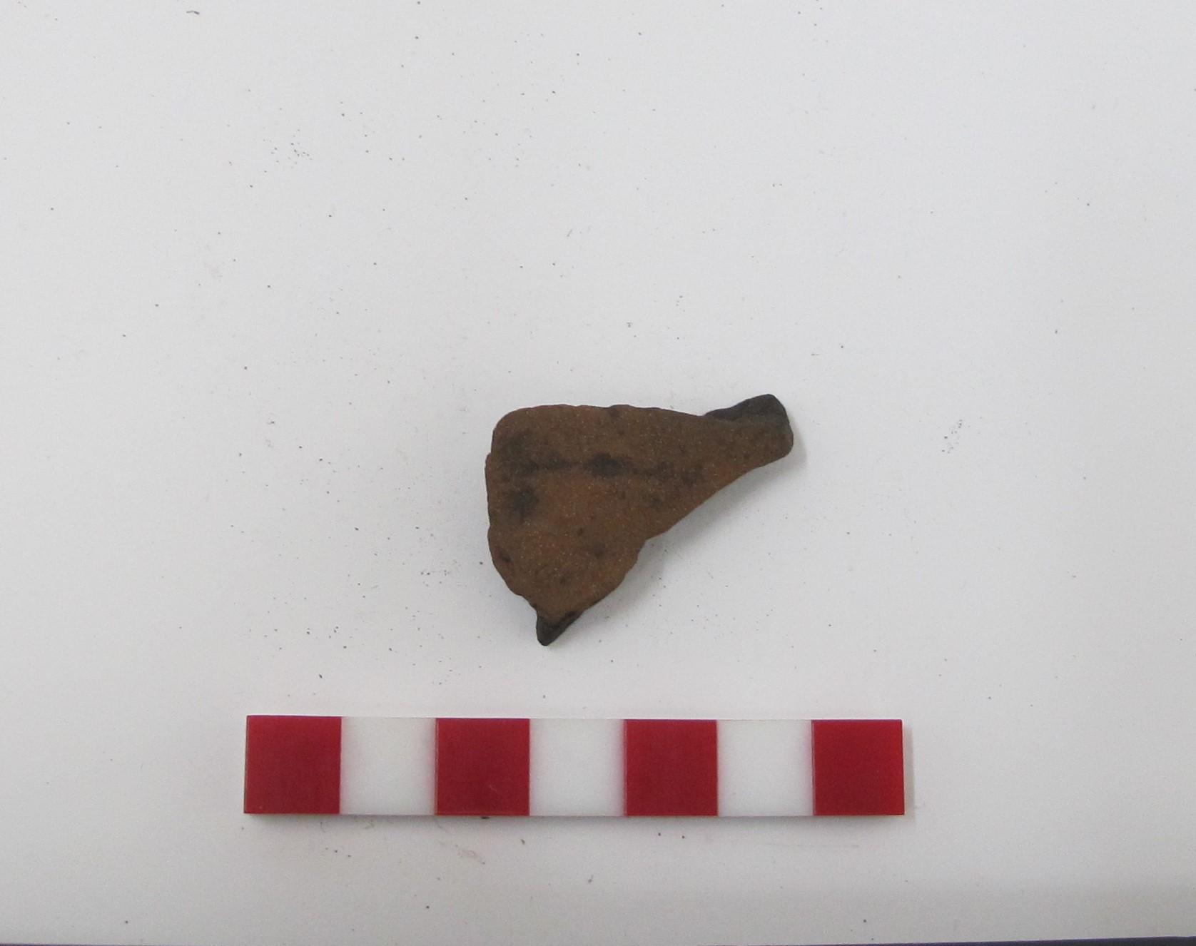 Fragmento de cerámica