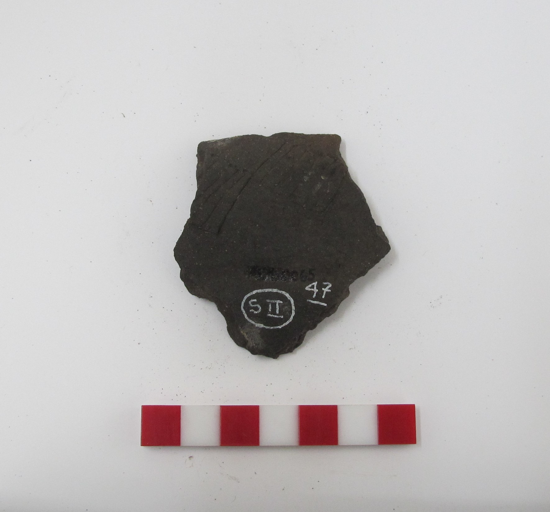 Fragmento de cerámica