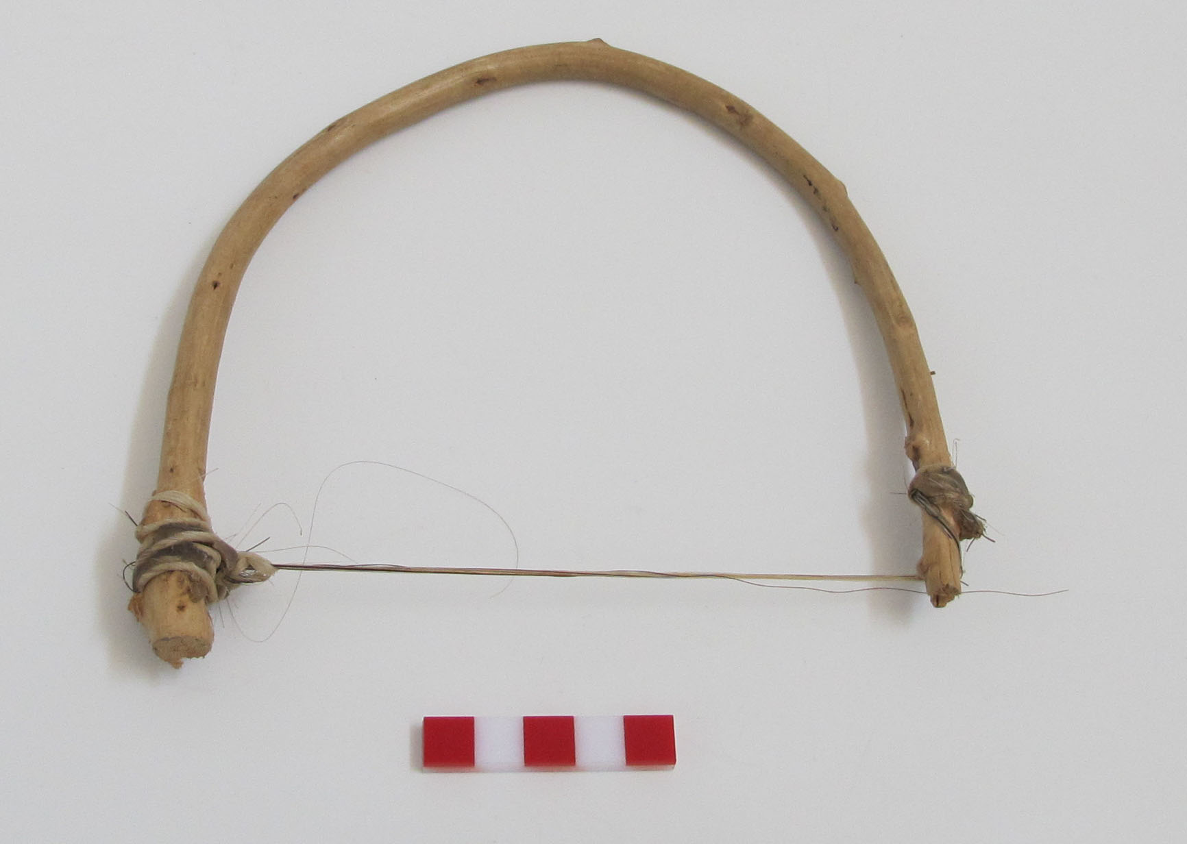 Arco Wichi (Siglo XX)