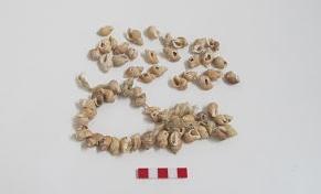 Instrumento musical (Siglo XX)