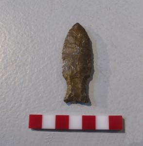 Cola de pescado (10000 a.C.-6000 a.C.)