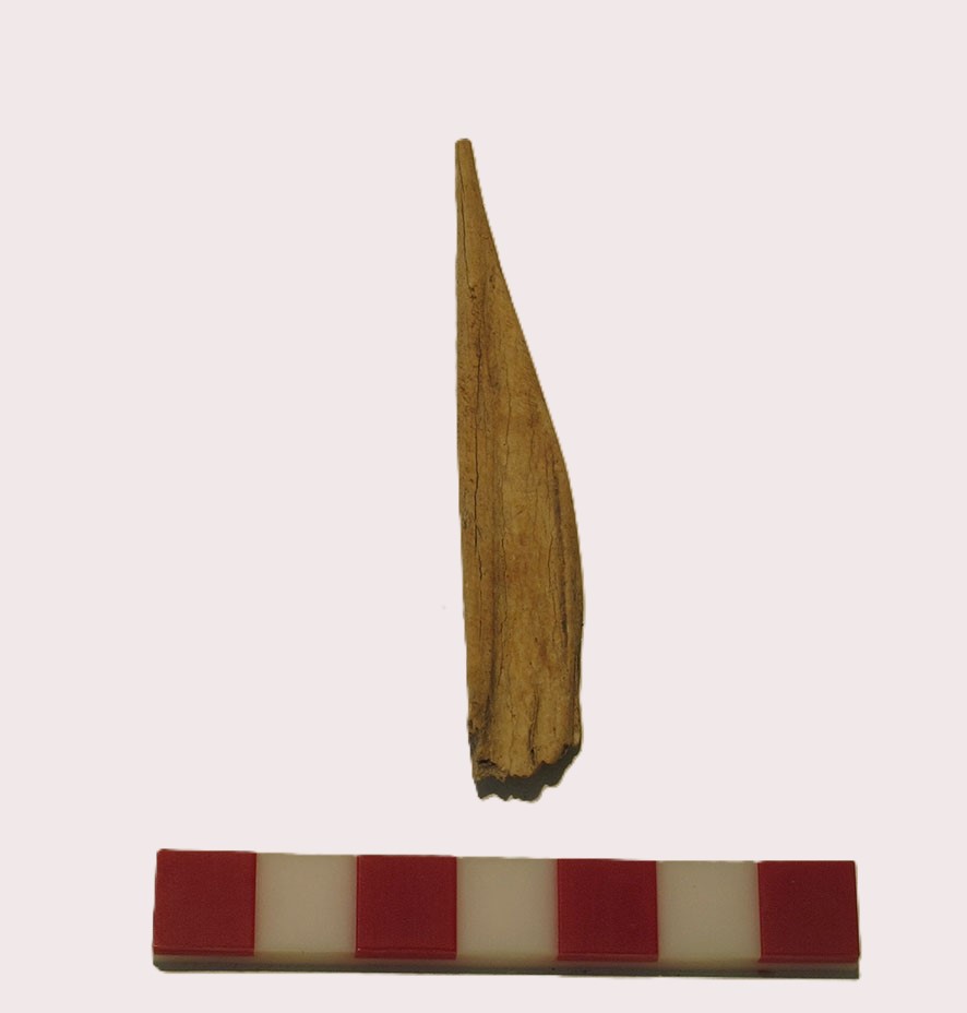 Punzón (s/d)