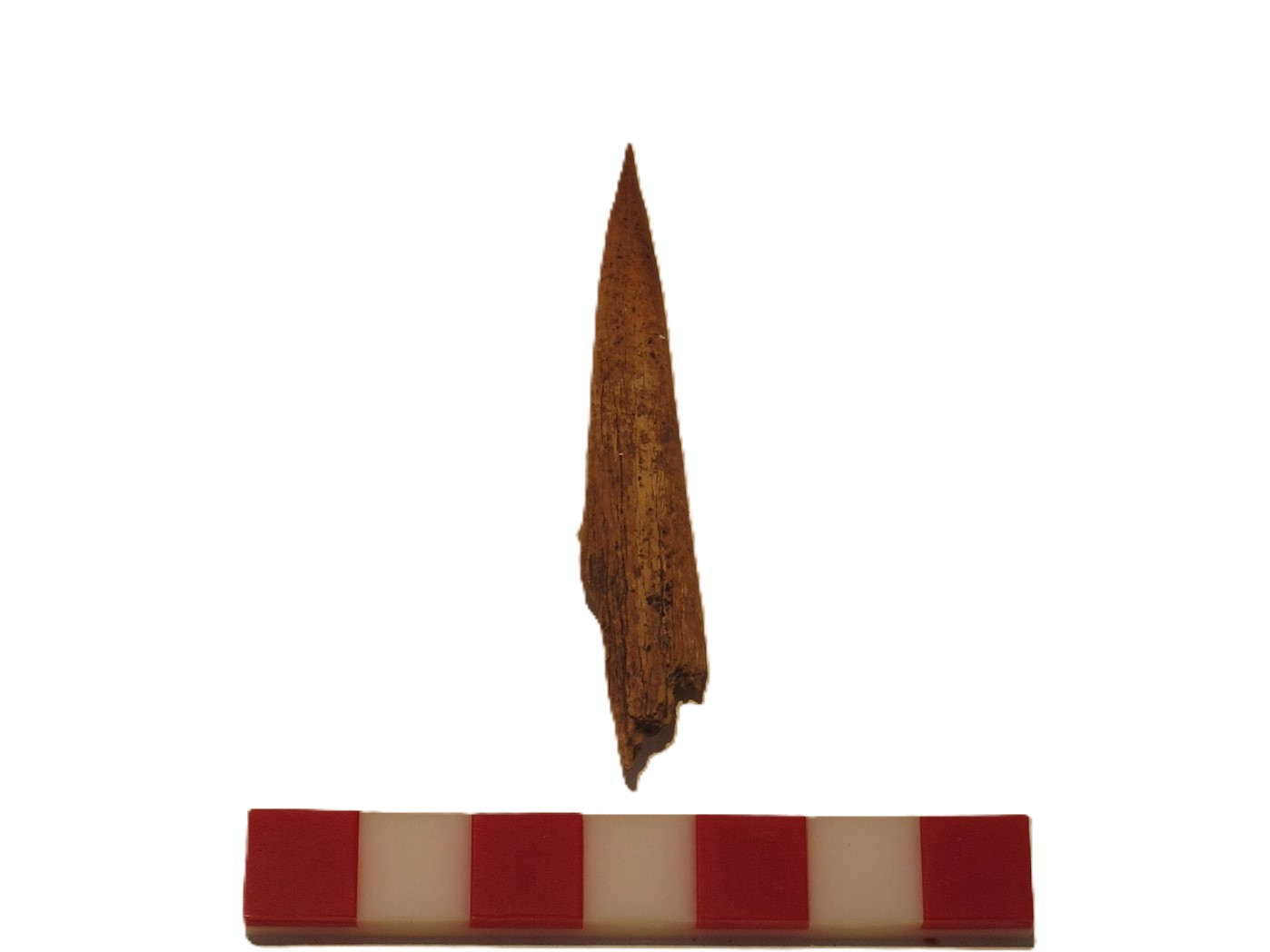Punzón (s/d)